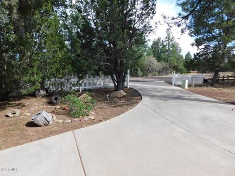 2854 Cedar Rdg, Overgaard, AZ 85933 photo 60
