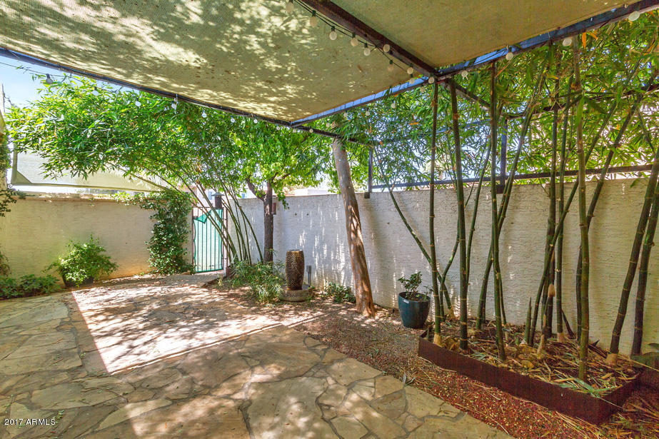 5304 E Windsor Ave, Phoenix, AZ 85008 photo 16