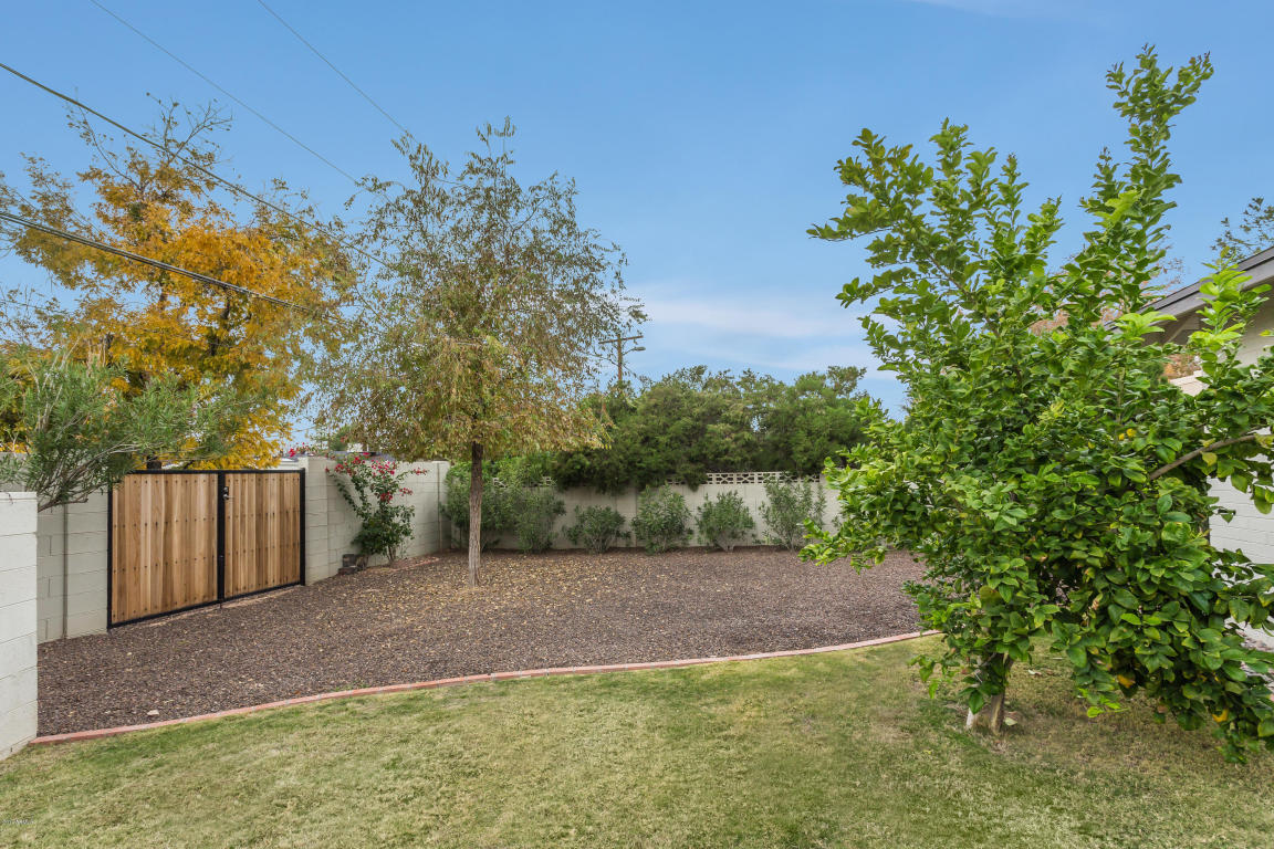 3711 Elm St, Phoenix, AZ 85018 photo 25