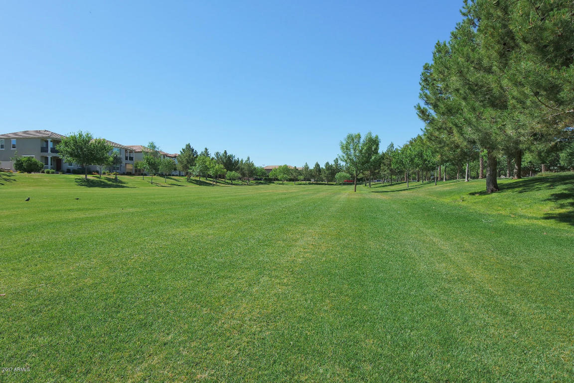 845 S Reber Ave, Gilbert, AZ 85296 photo 22