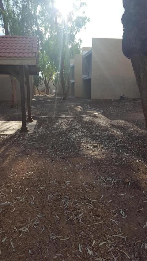 2845 E Le Marche Ave, Phoenix, AZ 85032 photo 6