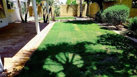 4133 E Frye Rd, Phoenix, AZ 85048 photo 59