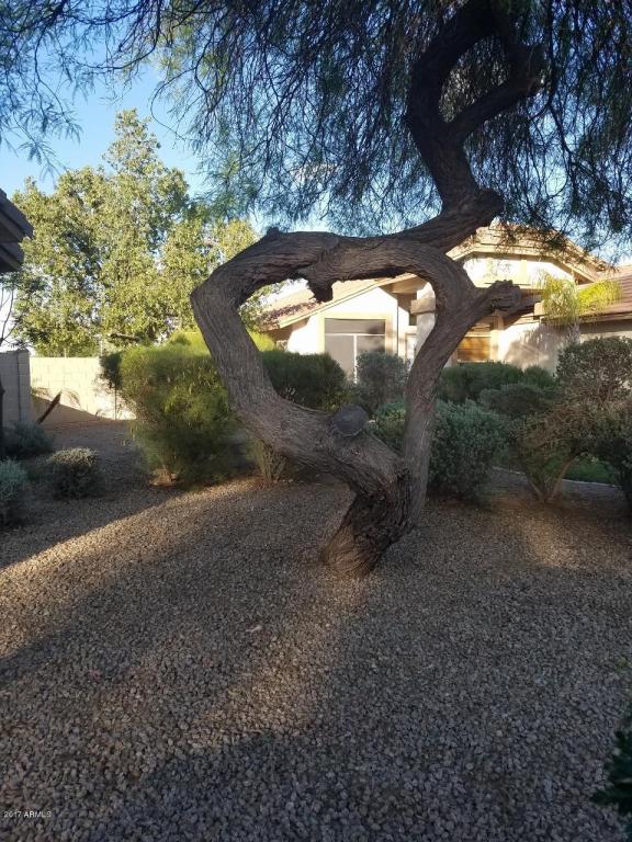 2362 E Smoke Tree Rd, Gilbert, AZ 85296 photo 30