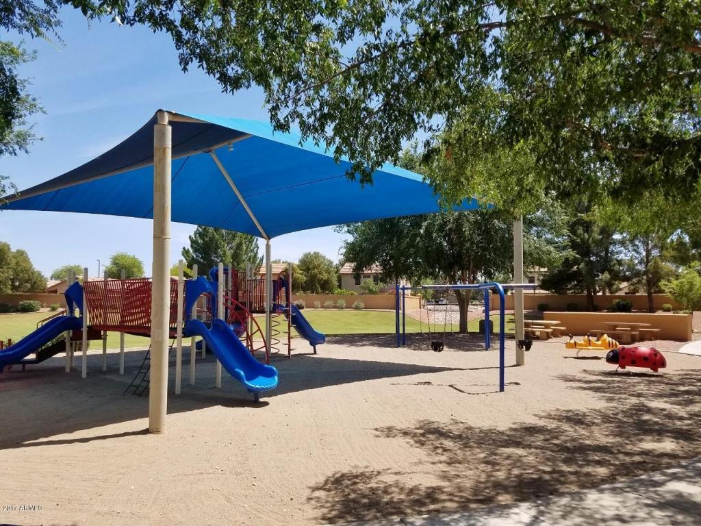 2362 E Smoke Tree Rd, Gilbert, AZ 85296 photo 25