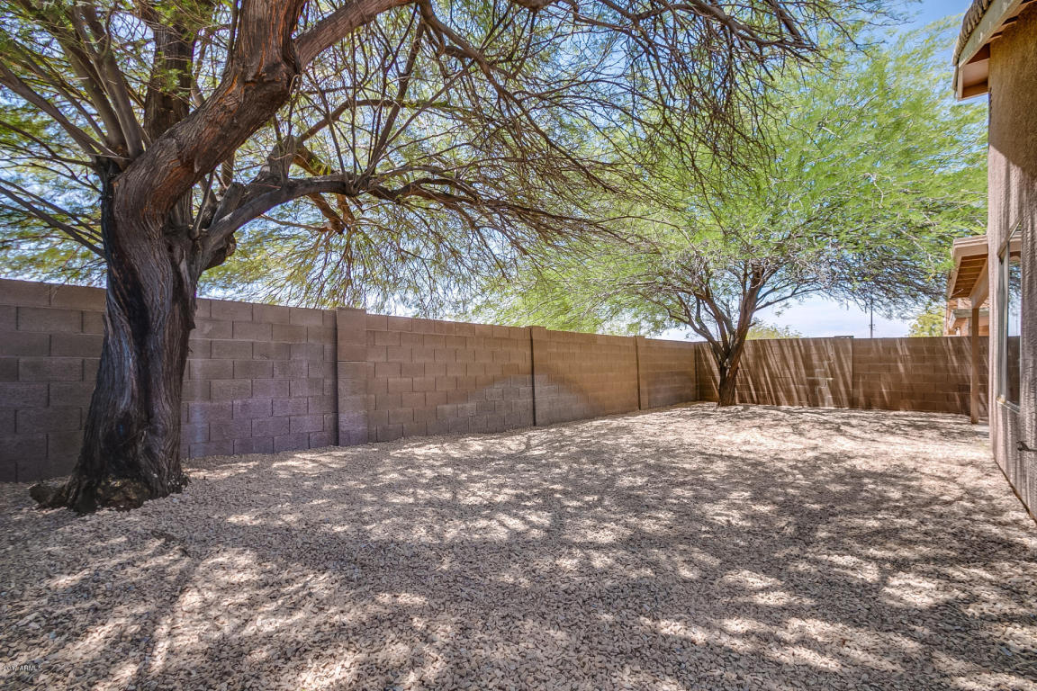 10861 E Diamond Ave, Mesa, AZ 85208 photo 45