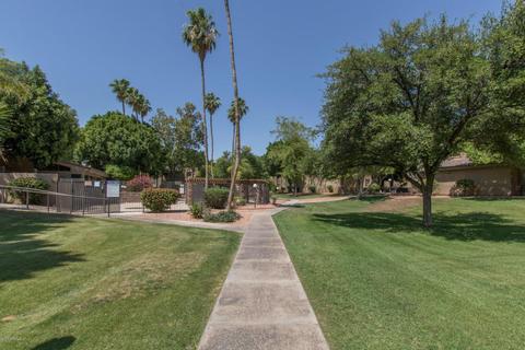 3825 E Camelback Rd #235, Phoenix, AZ 85018 photo 18