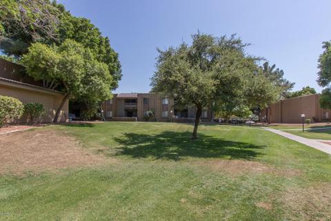 3825 E Camelback Rd #235, Phoenix, AZ 85018 photo 20