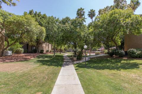 3825 E Camelback Rd #235, Phoenix, AZ 85018 photo 22
