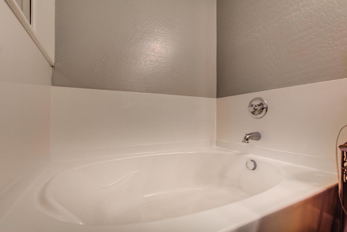 3509 E Orchid Ln, Gilbert, AZ 85296 photo 26