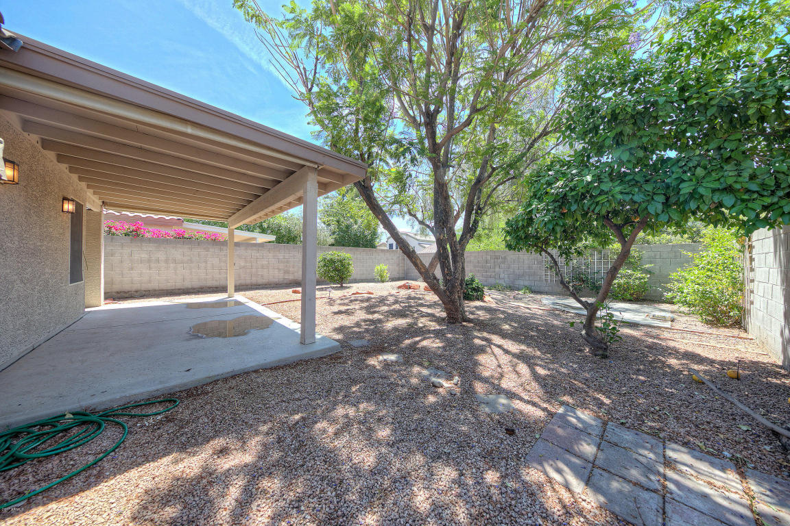 3031 Escuda Rd, Phoenix, AZ 85050 photo 22