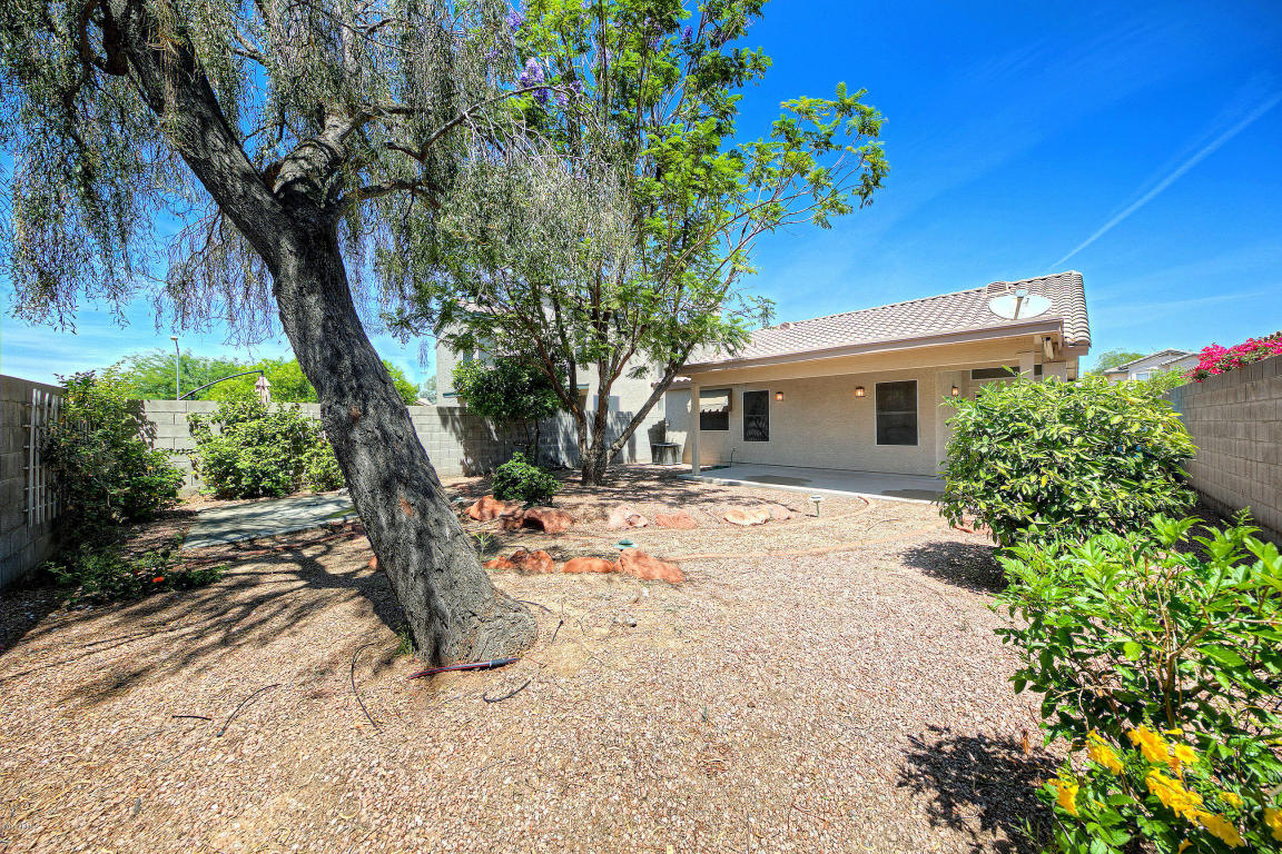 3031 Escuda Rd, Phoenix, AZ 85050 photo 23