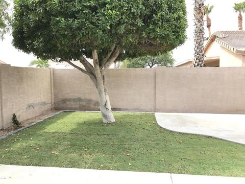 1111 E Potter Dr, Phoenix, AZ 85024 photo 20