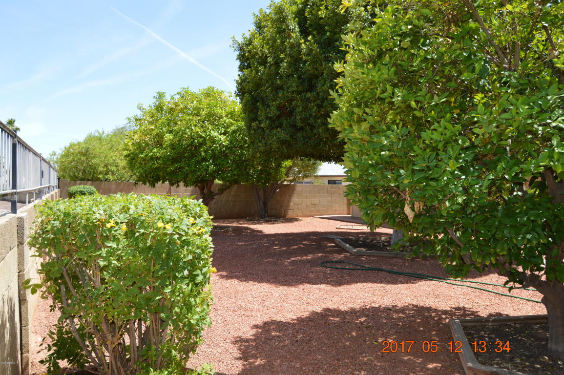 4230 E Sacaton St, Phoenix, AZ 85044 photo 35