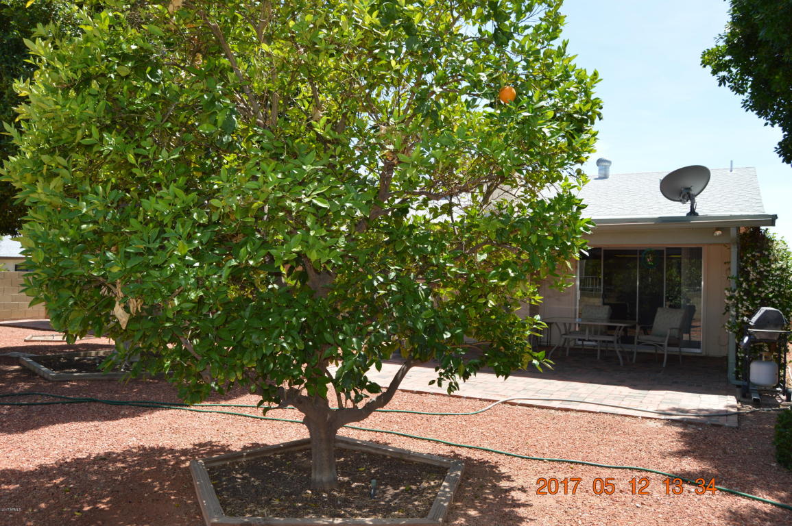 4230 E Sacaton St, Phoenix, AZ 85044 photo 34