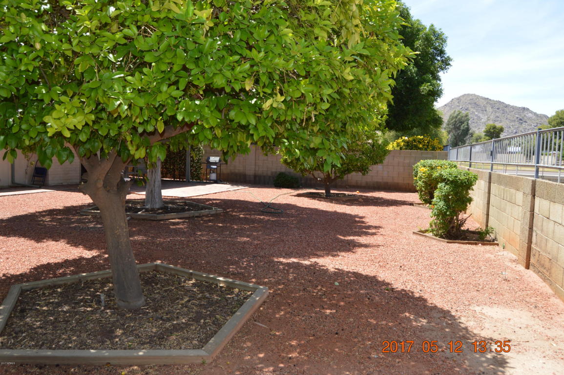 4230 E Sacaton St, Phoenix, AZ 85044 photo 39