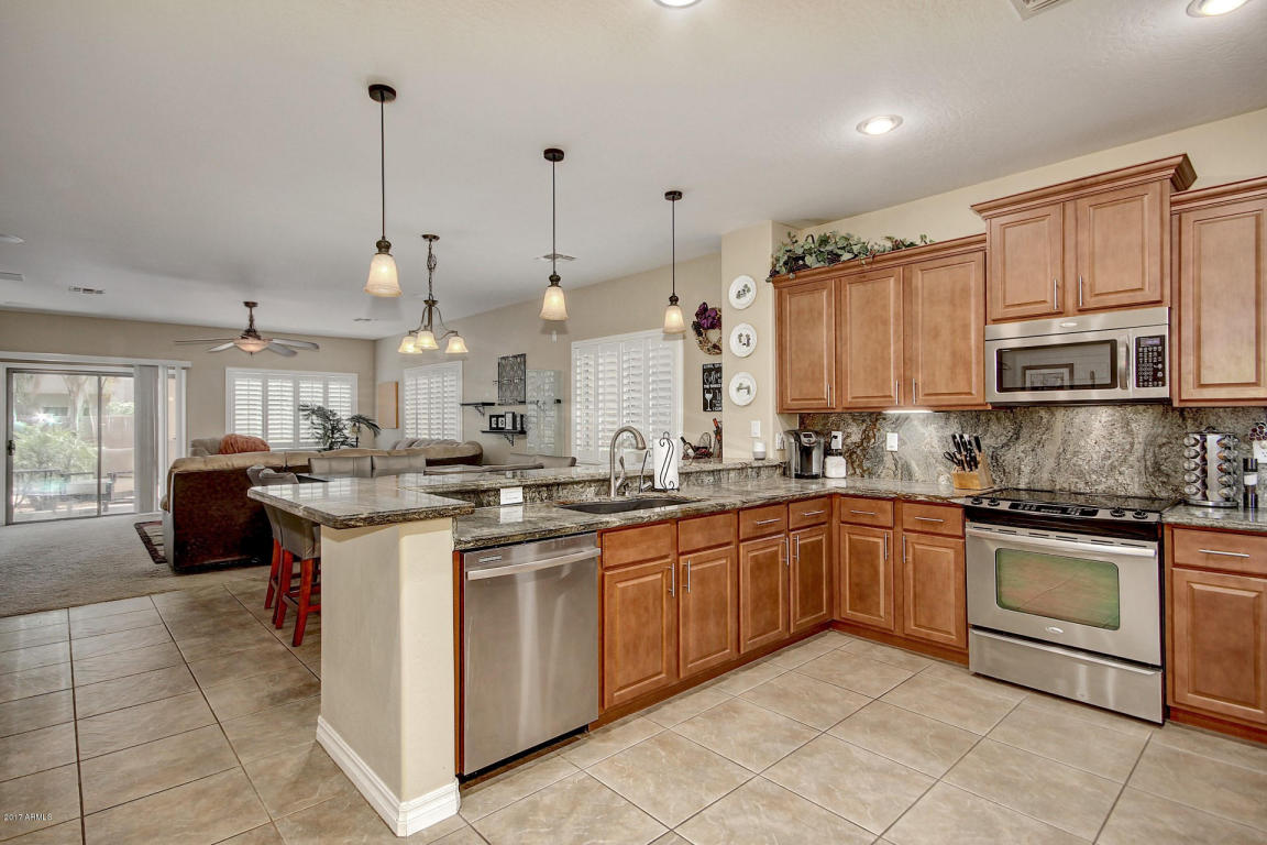 2697 E Ficus Way, Gilbert, AZ 85298 photo 15