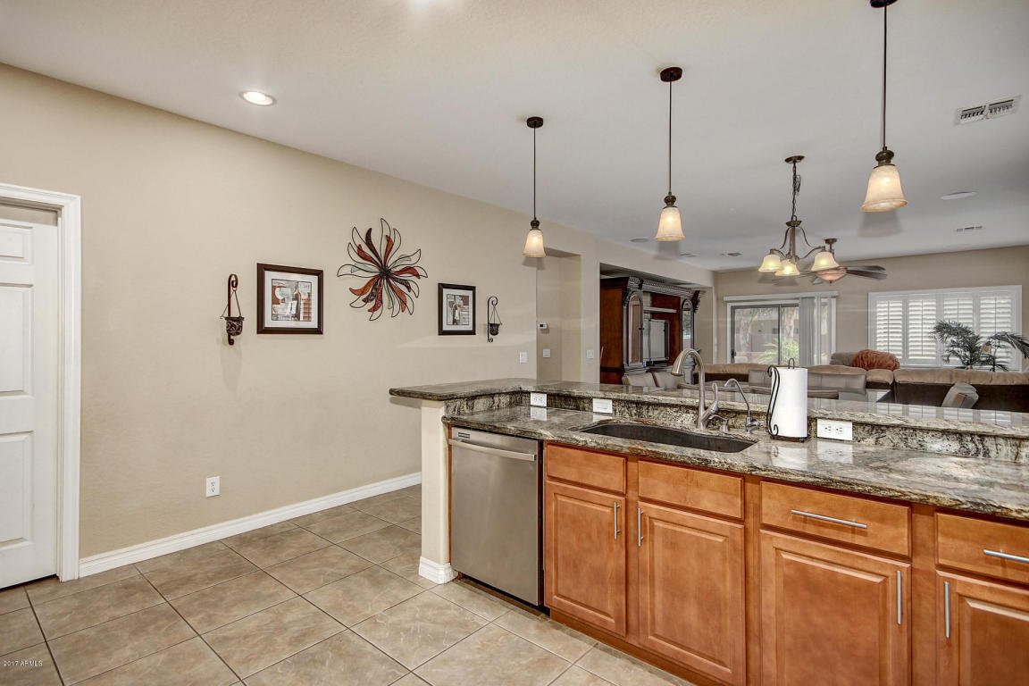 2697 E Ficus Way, Gilbert, AZ 85298 photo 19