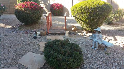 4164 E Olive Ave, Gilbert, AZ 85234 photo 8
