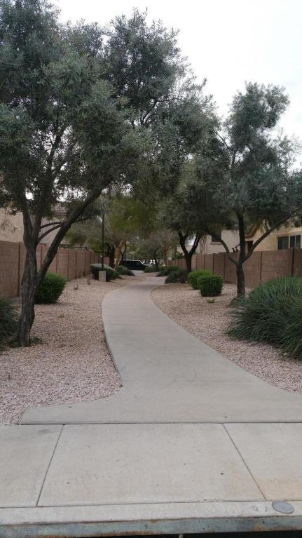 4164 E Olive Ave, Gilbert, AZ 85234 photo 13