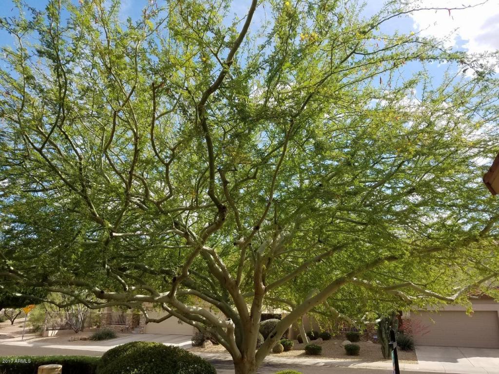 4914 E Kirkland Rd, Phoenix, AZ 85054 photo 53