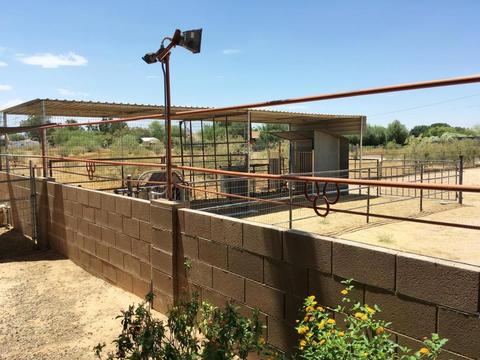 19220 N 29th Pl, Phoenix, AZ 85050 photo 29