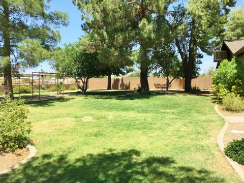 19220 N 29th Pl, Phoenix, AZ 85050 photo 24