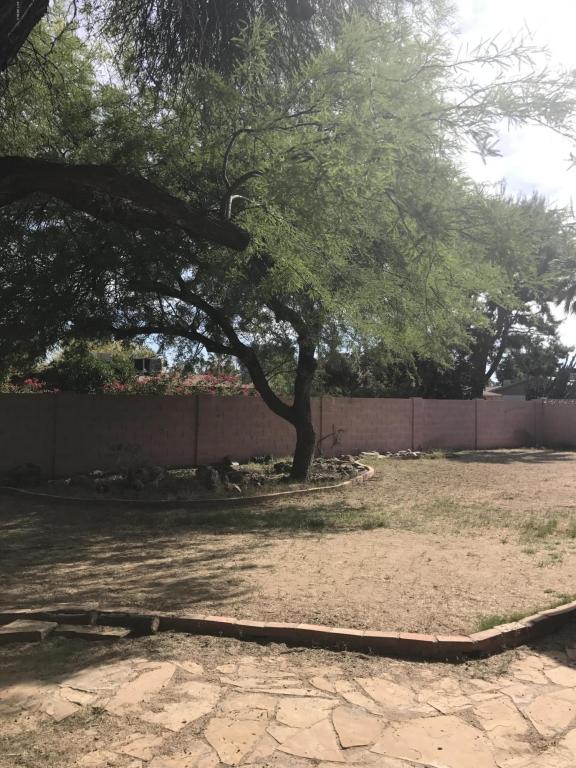2831 E Louise Dr, Phoenix, AZ 85032 photo 9