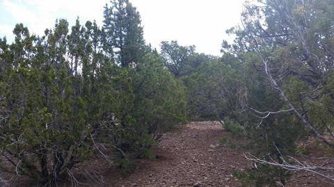 62 N Stanford Dr #005, Vernon, AZ 85940