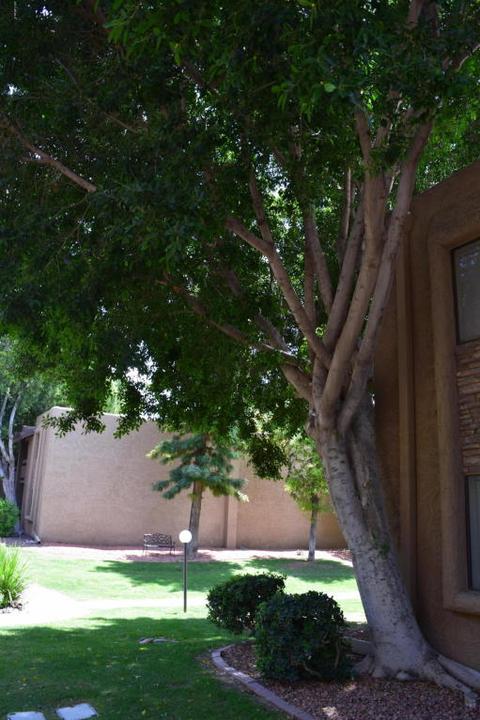 3825 E Camelback Rd #277, Phoenix, AZ 85018 photo 20