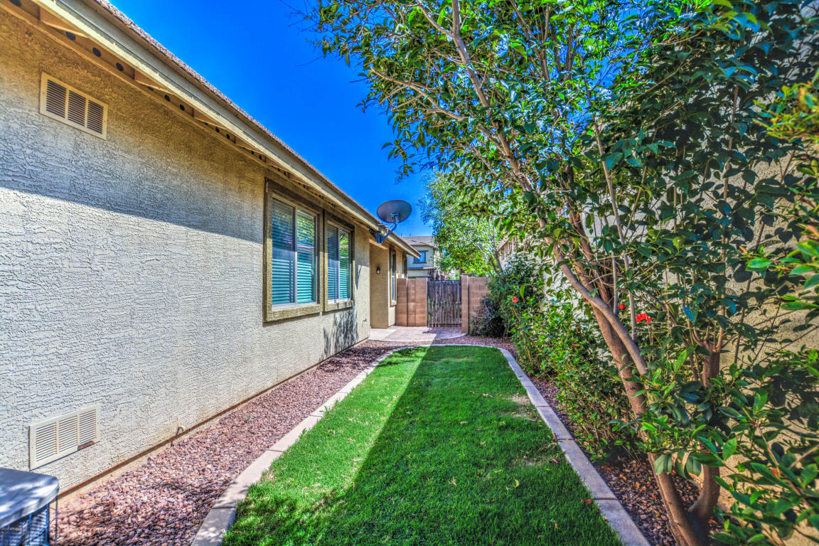 3736 E Waite Ln, Gilbert, AZ 85295 photo 41