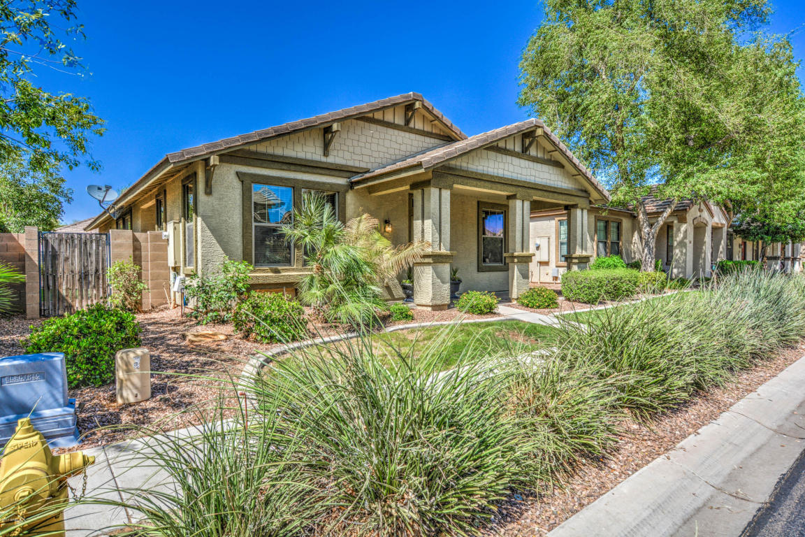 3736 E Waite Ln, Gilbert, AZ 85295 photo 4