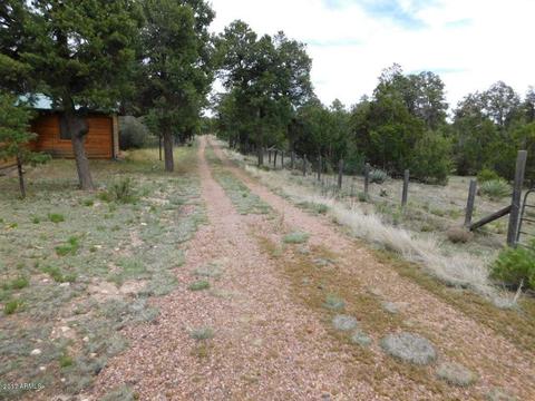 3389 Buckskin Rd, Overgaard, AZ 85933 photo 33