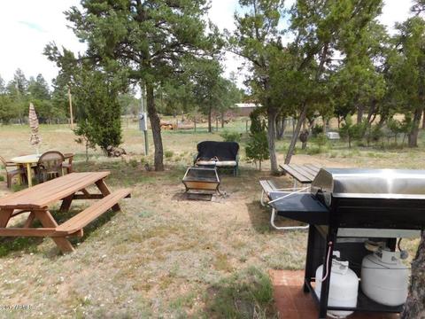 3389 Buckskin Rd, Overgaard, AZ 85933 photo 28