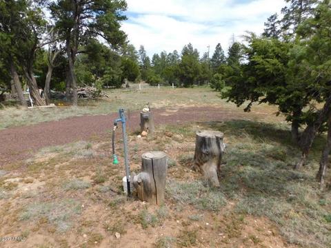 3389 Buckskin Rd, Overgaard, AZ 85933 photo 30