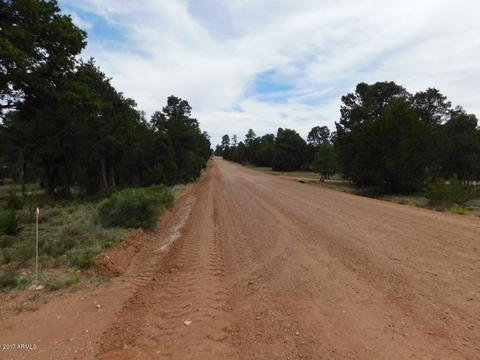 3389 Buckskin Rd, Overgaard, AZ 85933 photo 4