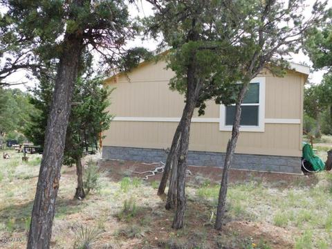 3389 Buckskin Rd, Overgaard, AZ 85933 photo 32