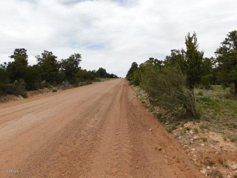3389 Buckskin Rd, Overgaard, AZ 85933 photo 34