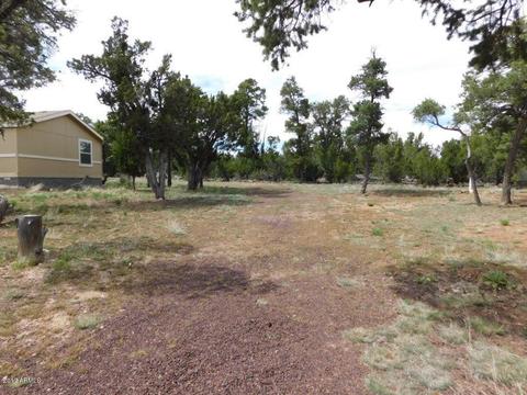 3389 Buckskin Rd, Overgaard, AZ 85933 photo 31