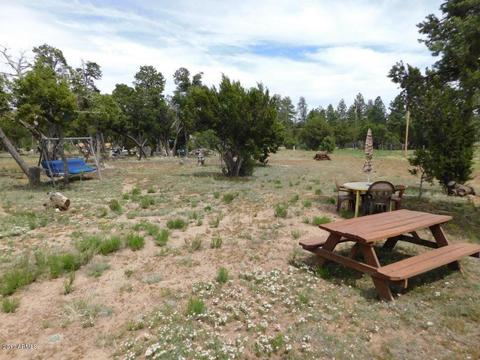 3389 Buckskin Rd, Overgaard, AZ 85933 photo 29