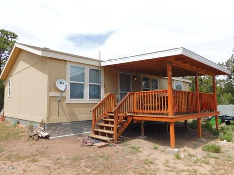 3389 Buckskin Rd, Overgaard, AZ 85933 photo 2