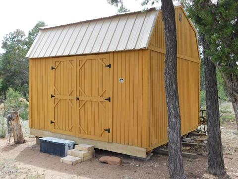 3389 Buckskin Rd, Overgaard, AZ 85933 photo 27