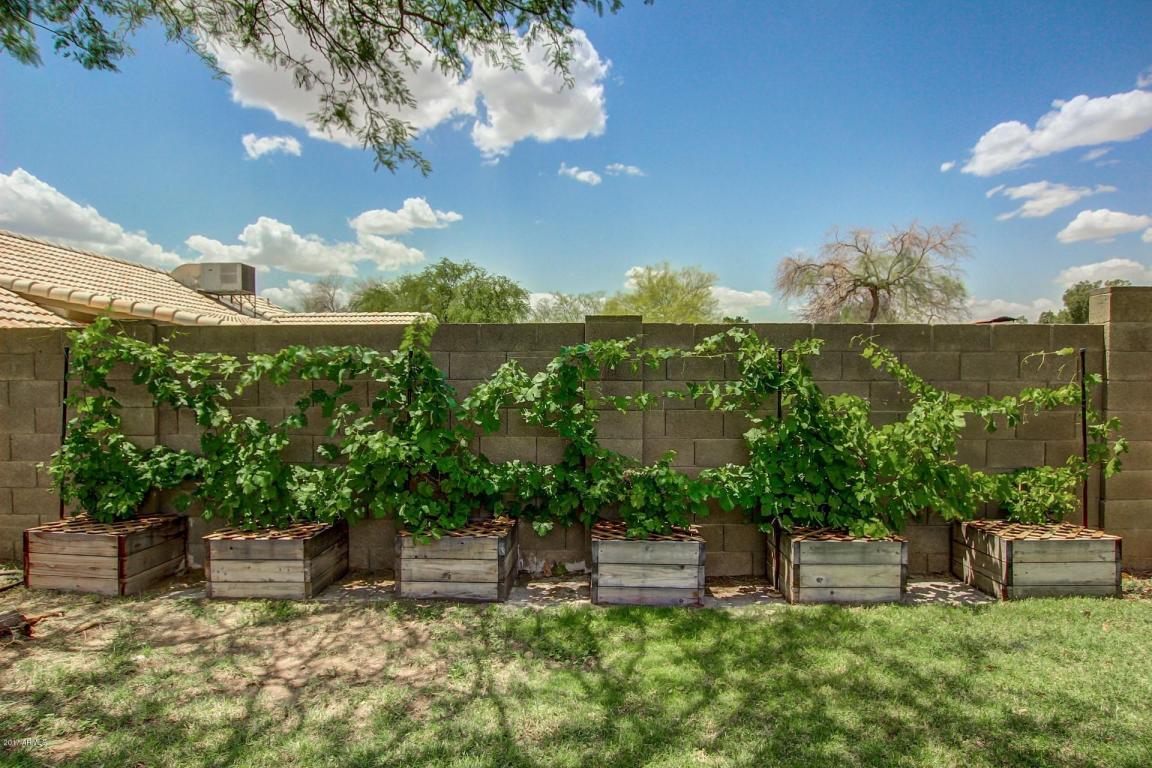 7324 E Indigo St, Mesa, AZ 85207 photo 20