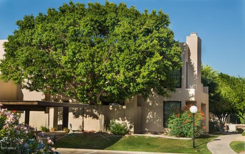 5402 E Windsor Ave #50, Phoenix, AZ 85008 photo 2