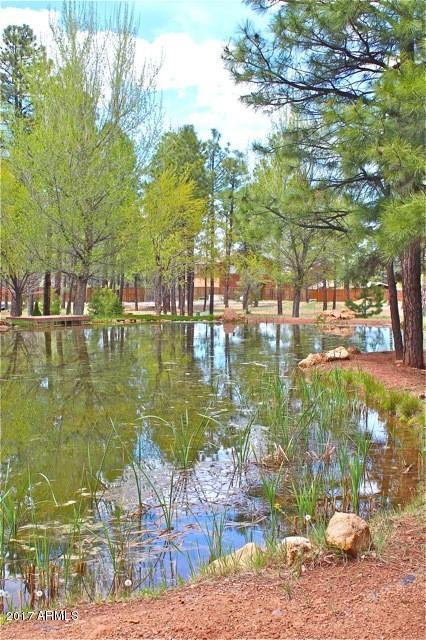 2318 Overgaard Springs Loop, Overgaard, AZ 85933 photo 25