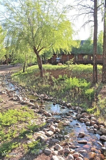 2318 Overgaard Springs Loop, Overgaard, AZ 85933 photo 26