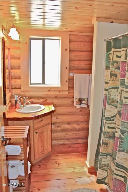 2318 Overgaard Springs Loop, Overgaard, AZ 85933 photo 19
