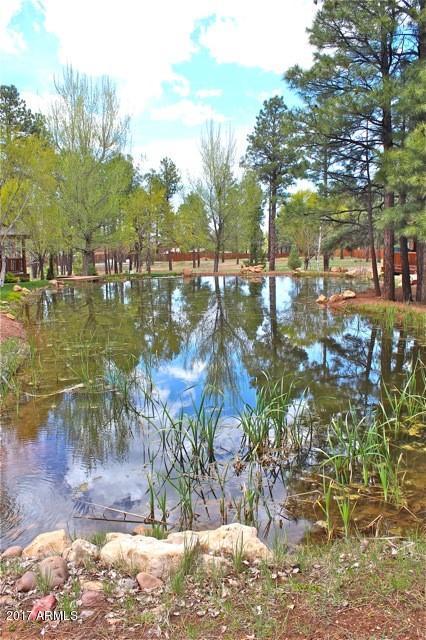 2318 Overgaard Springs Loop, Overgaard, AZ 85933 photo 24