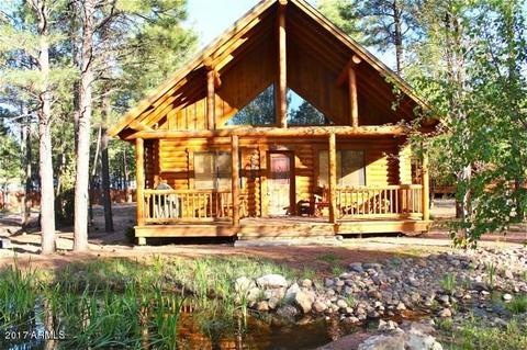 2318 Overgaard Springs Loop, Overgaard, AZ 85933 photo 1