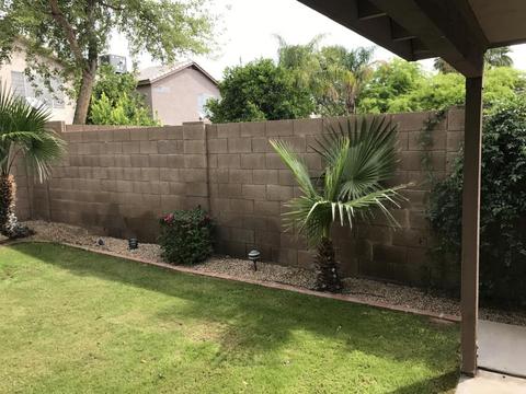 4120 E Coolbrook Ave, Phoenix, AZ 85032 photo 35