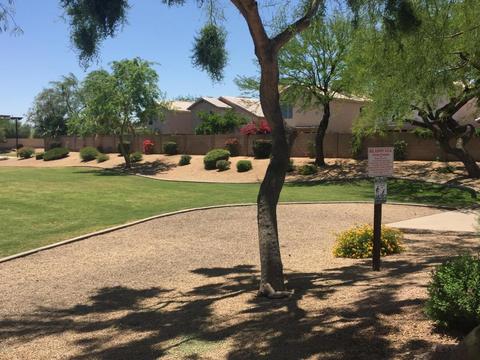 4120 E Coolbrook Ave, Phoenix, AZ 85032 photo 41